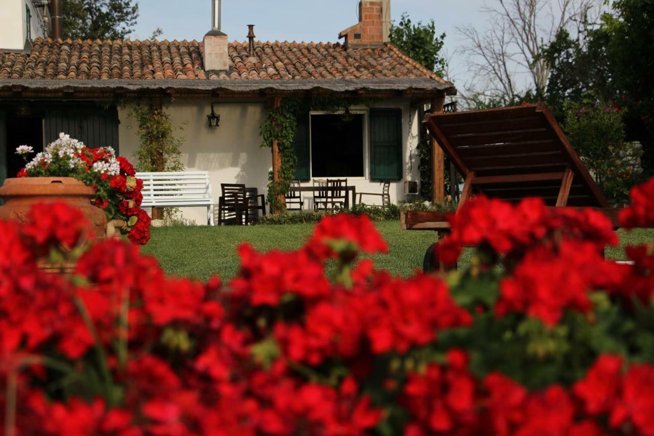 Casa S.Paolo Vila Rimini Exterior foto